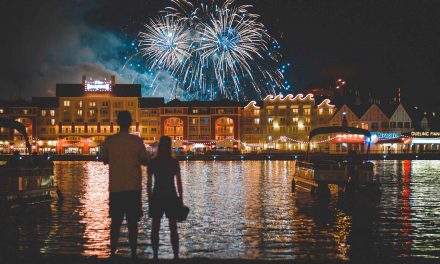 Millennial’s: Can’t Even Enjoy Fireworks Show Right